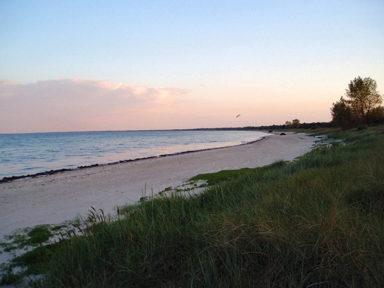 Strand mit Blauer Flagge bei Elkenøre, Marielyst