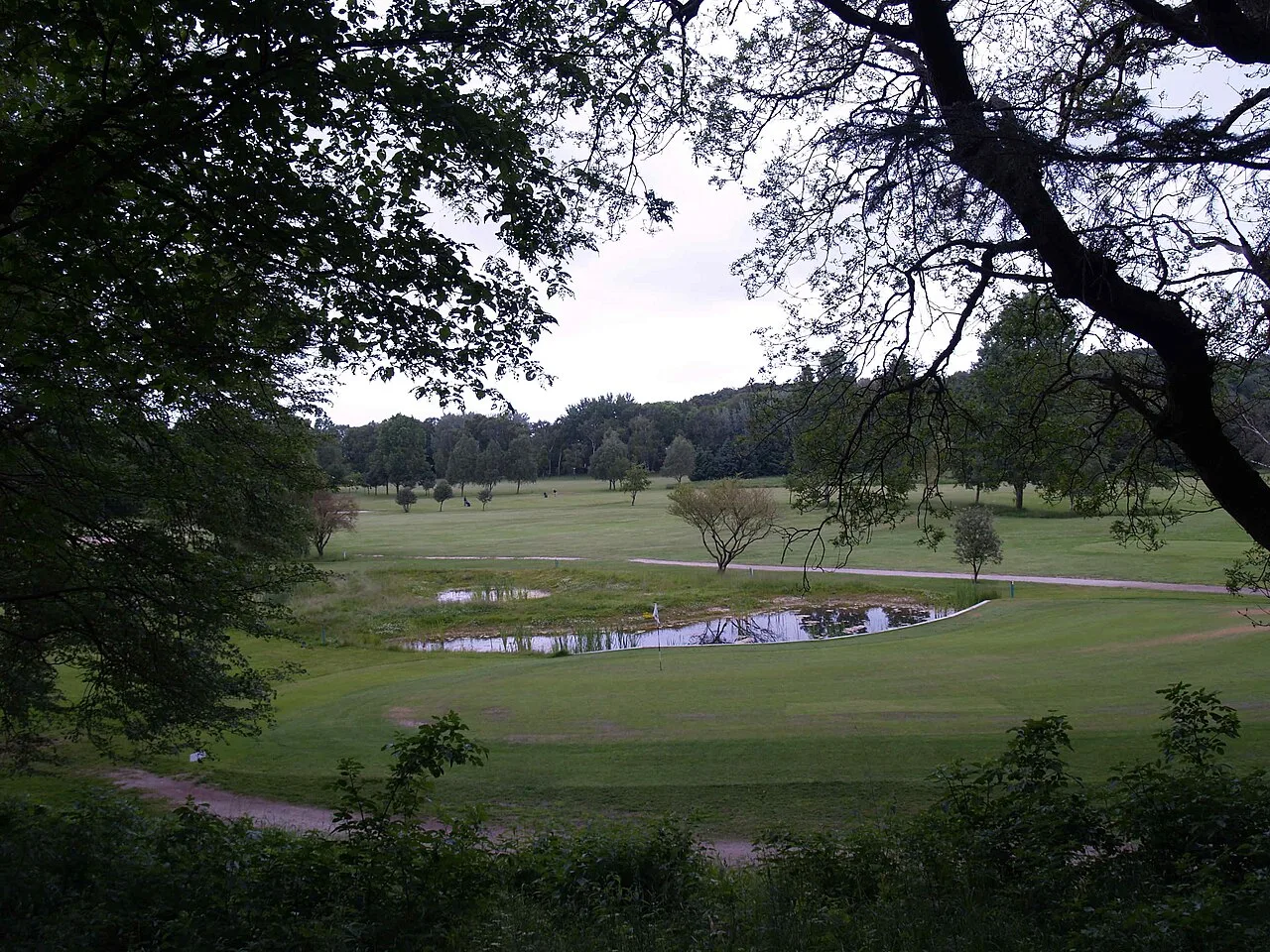 Parkland-Golfplatz in Dänemark mit Fairway, Baumgruppen und einem Teich als Wasserhindernis