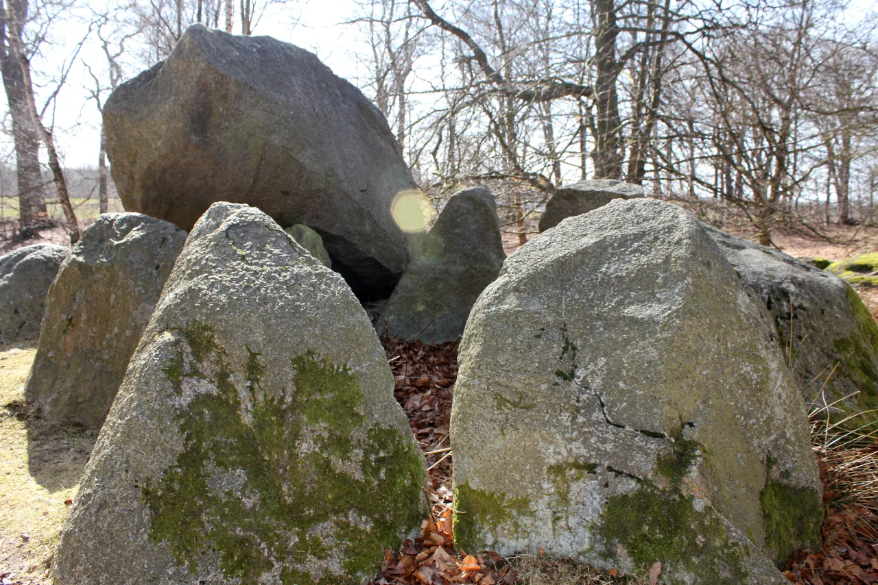 Steindolmen aus großen Findlingen im Wald von Halskov Vænge auf Falster