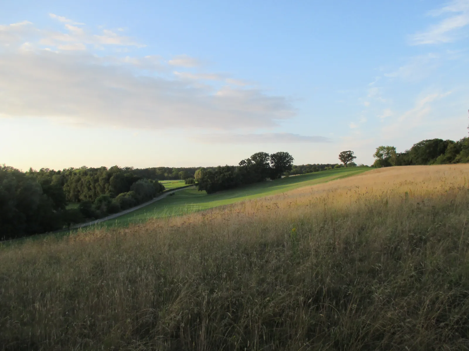 Blick von der Nordkante des Virketvolden-Walls (Trygge Slot) im Hannenov-Wald, goldenes Abendlicht über tiefer liegenden Wiesen, Sommerwald am Horizont