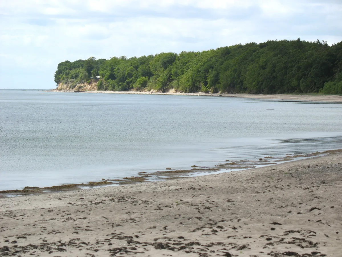 Flacher Sandstrand und bewaldete Küste bei Hesnæs