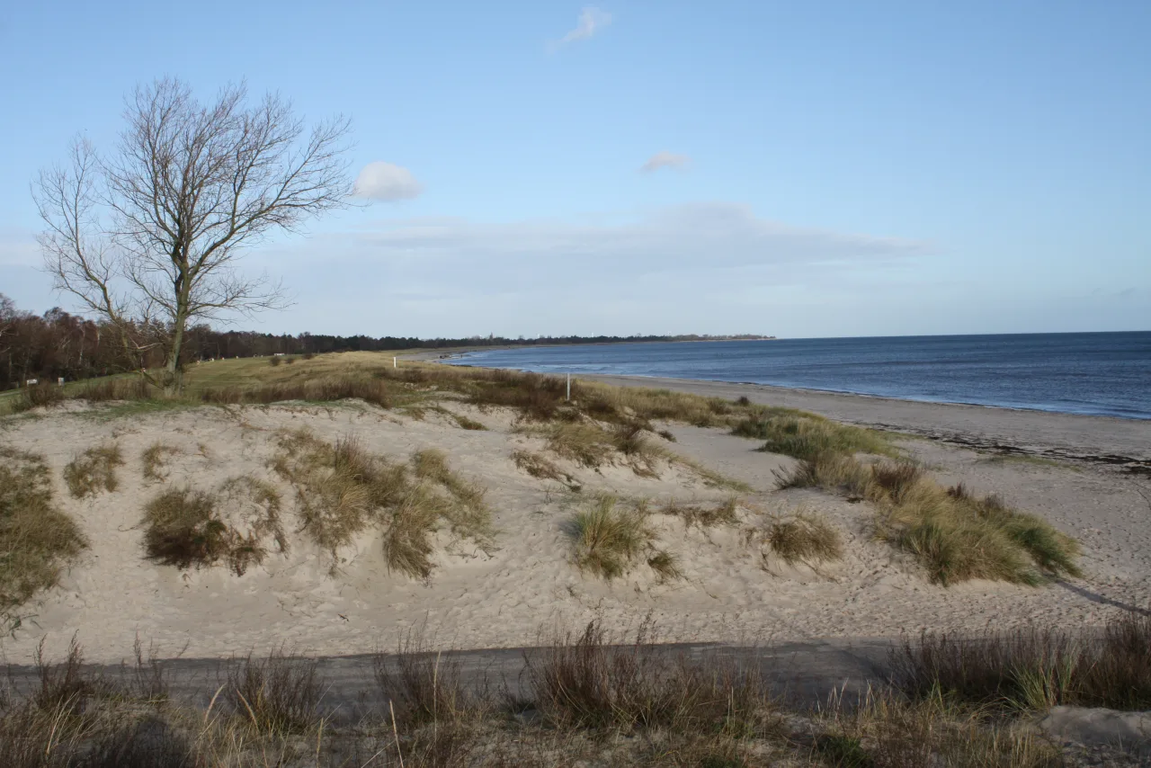 Dünen und flaches Wasser bei Marielyst — ideal für SUP-Einsteiger