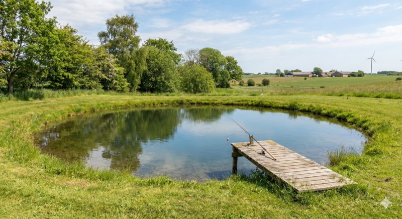 Put and Take See Falster